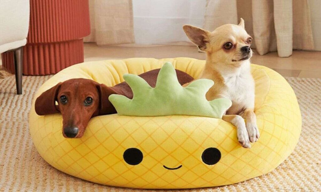 Squishmallow Pet Bed (1)