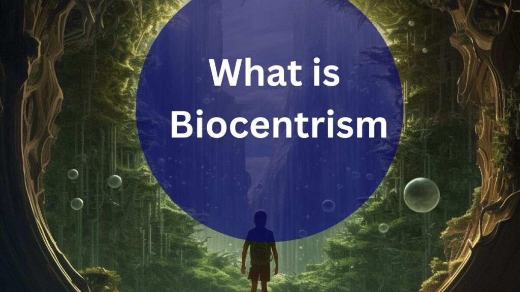 Moral Beliefs OF Biocentrism